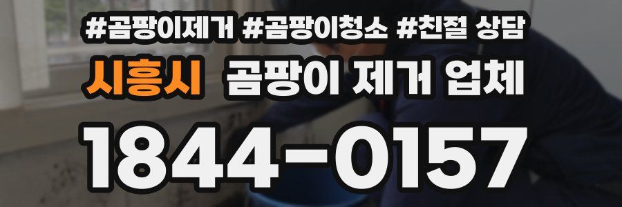 시흥시 곰팡이 제거 업체