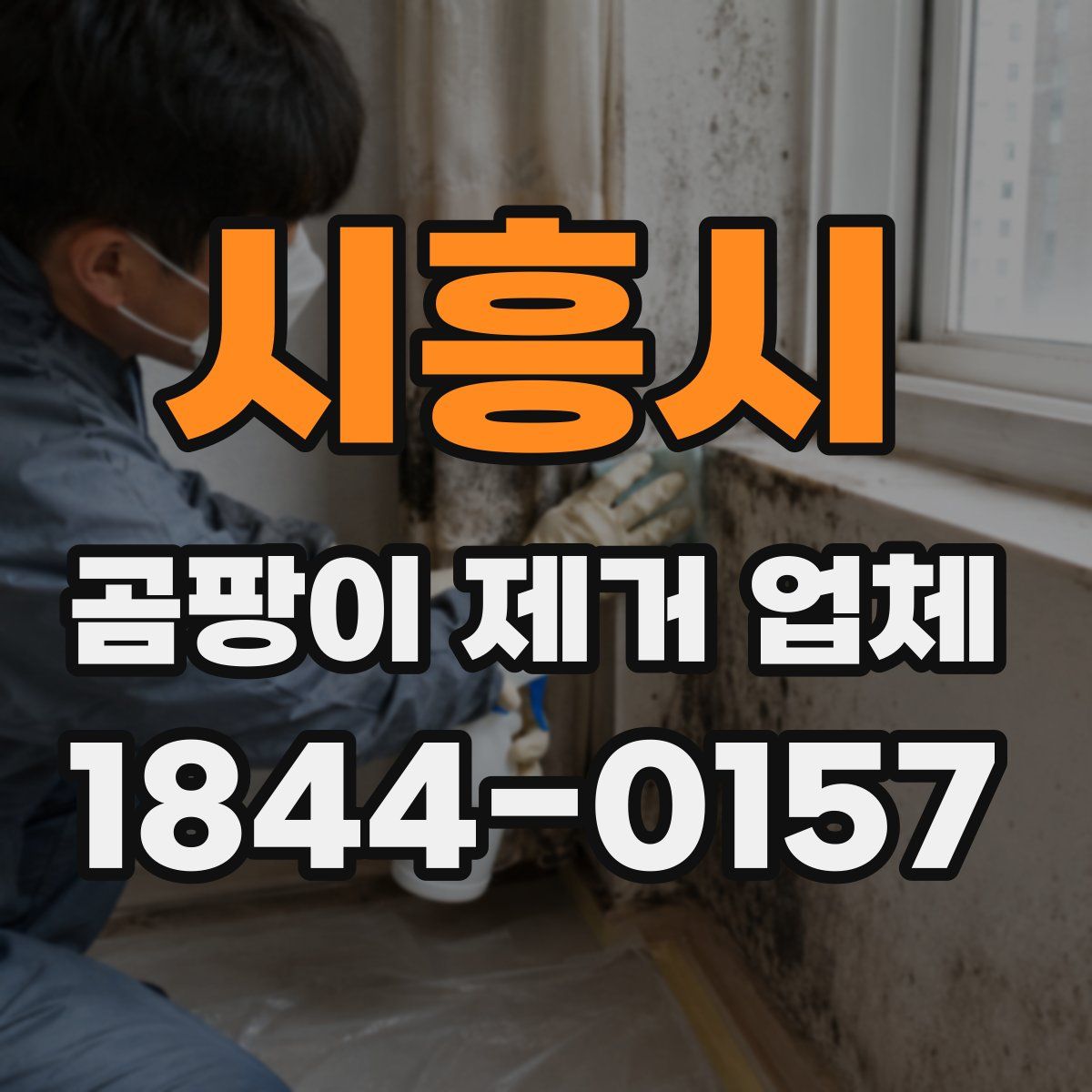 시흥시 곰팡이 제거 업체