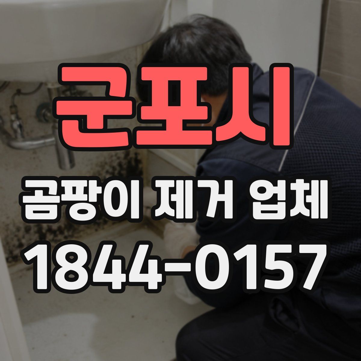 군포시 곰팡이 제거 업체