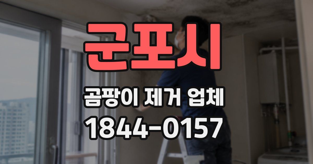 군포시 곰팡이 제거 업체