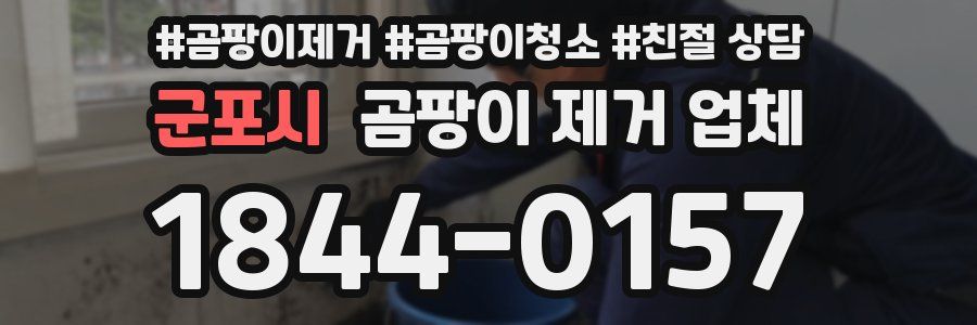 군포시 곰팡이 제거 업체