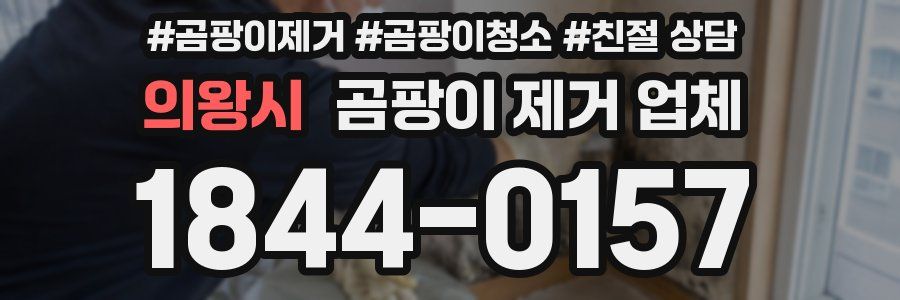 의왕시 곰팡이 제거 업체