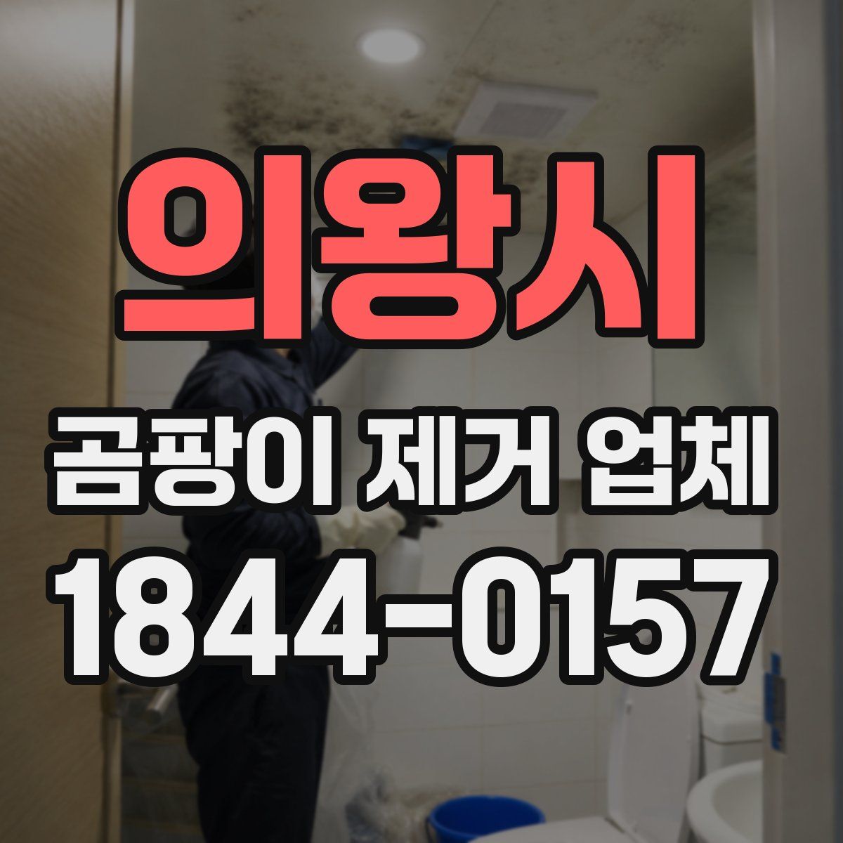 의왕시 곰팡이 제거 업체