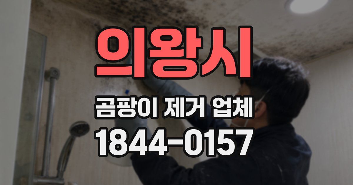 의왕시 곰팡이 제거 업체