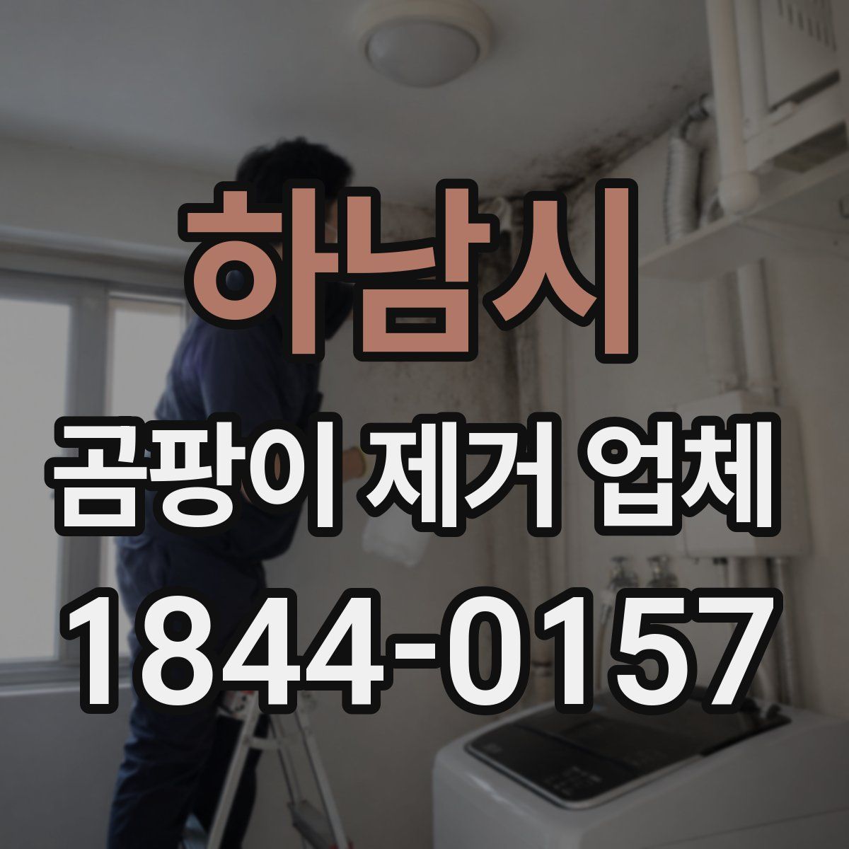 하남시 곰팡이 제거 업체