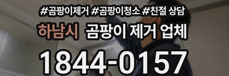 하남시 곰팡이 제거 업체