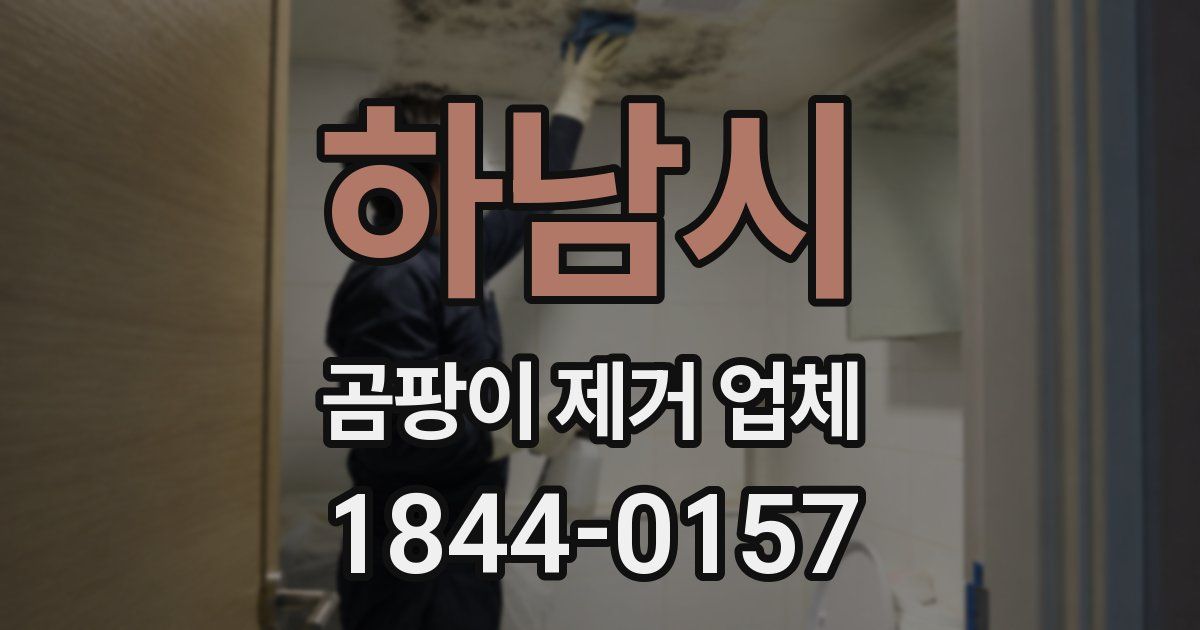 하남시 곰팡이 제거 업체