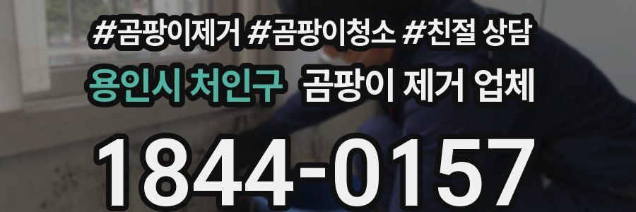 용인시 처인구 곰팡이 제거 업체