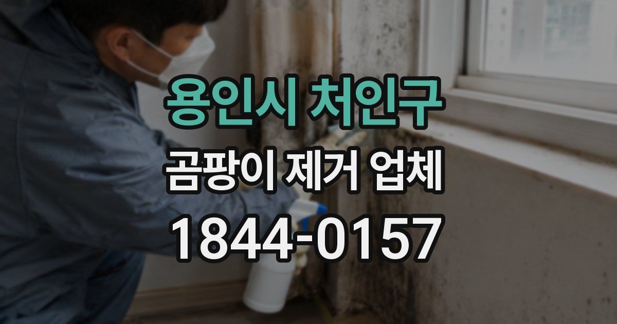 용인시 처인구 곰팡이 제거 업체