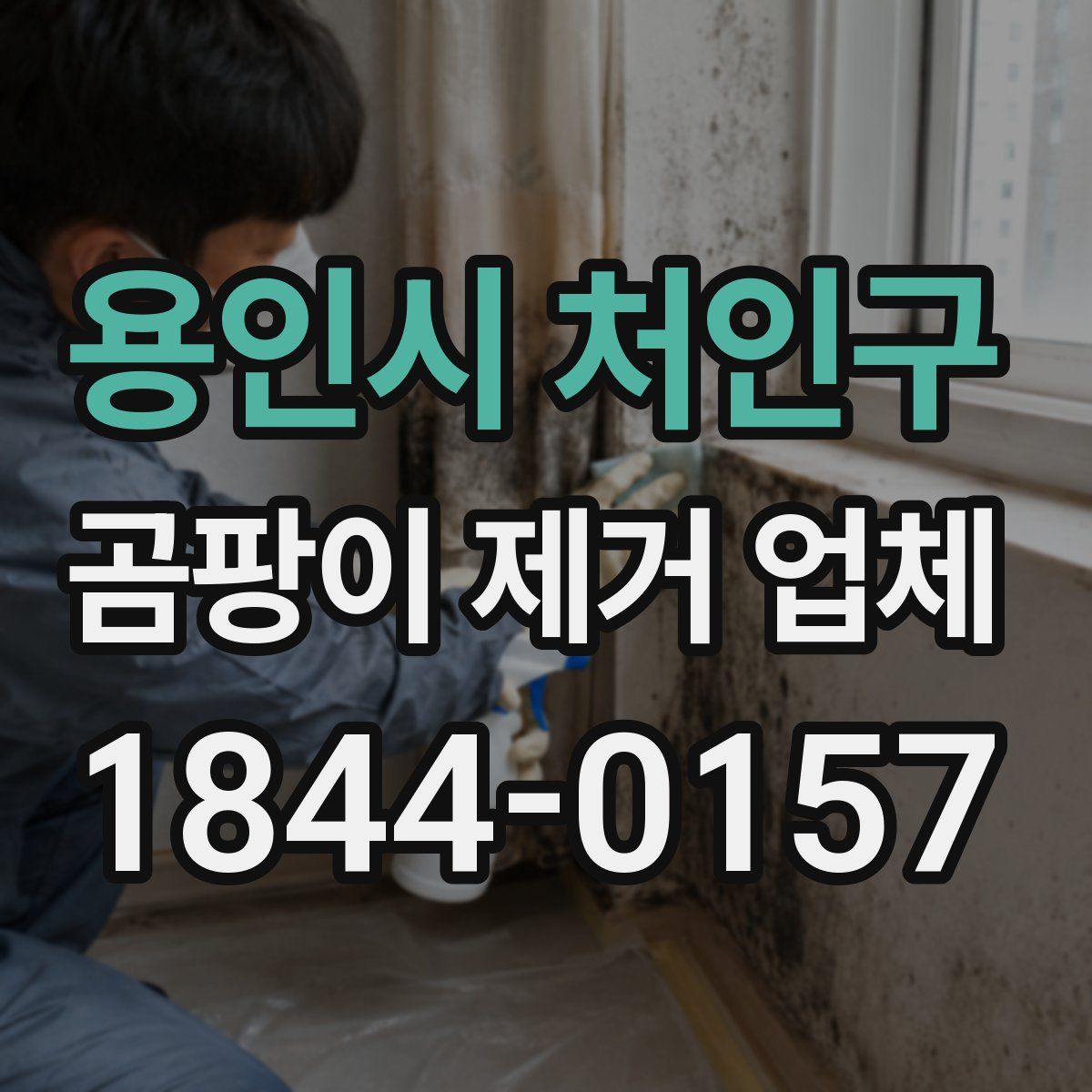 용인시 처인구 곰팡이 제거 업체