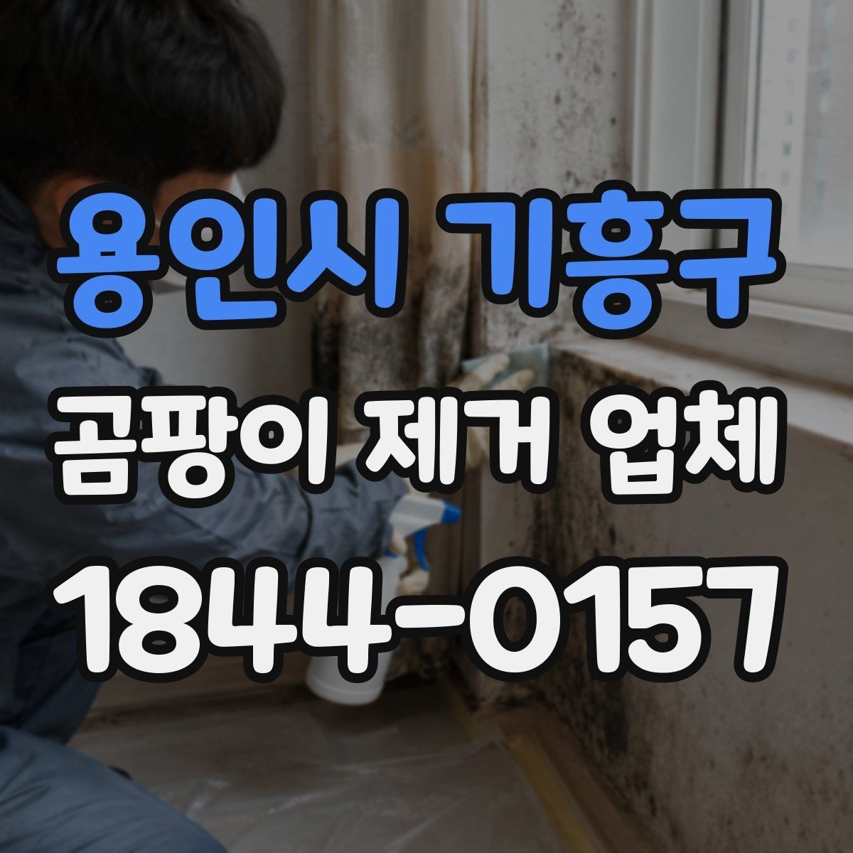 용인시 기흥구 곰팡이 제거 업체 선정 시 응대 속도도 중요한 이유