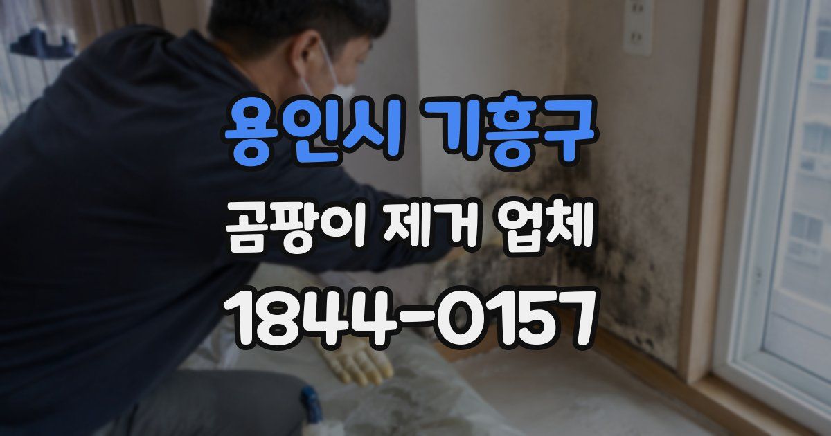 용인시 기흥구 곰팡이 제거 업체