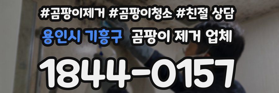 용인시 기흥구 곰팡이 제거 업체