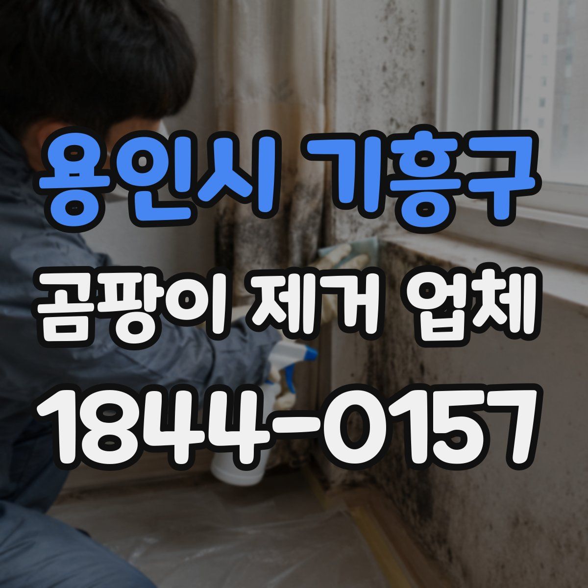 용인시 기흥구 곰팡이 제거 업체