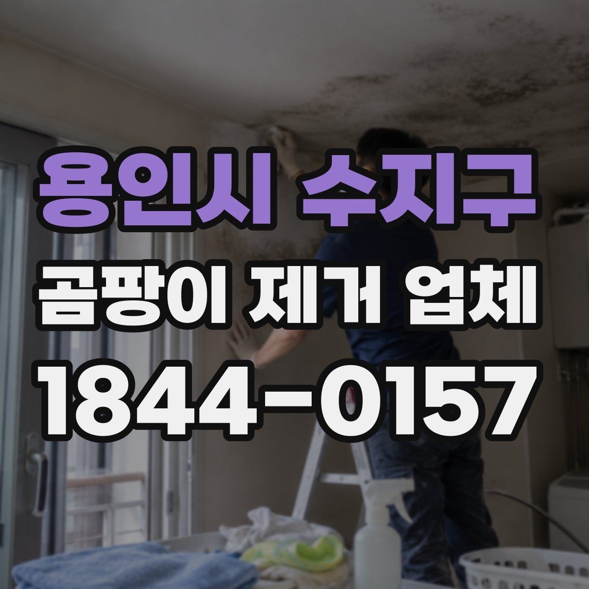 용인시 수지구 곰팡이 제거 업체 상담 시 예상 견적 확인하기