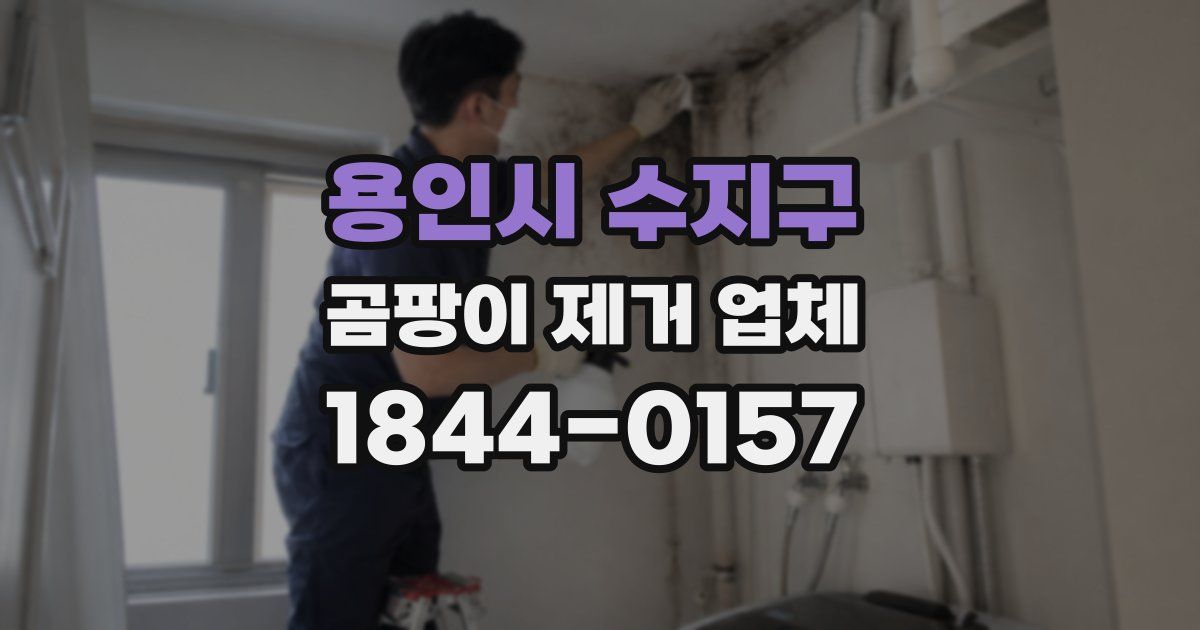 용인시 수지구 곰팡이 제거 업체
