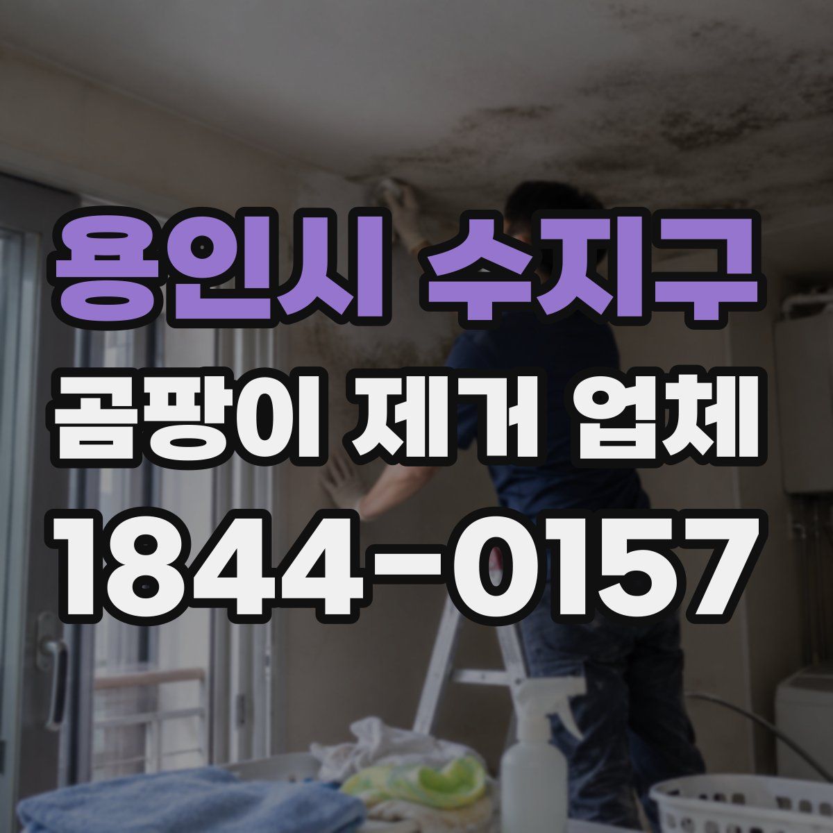 용인시 수지구 곰팡이 제거 업체
