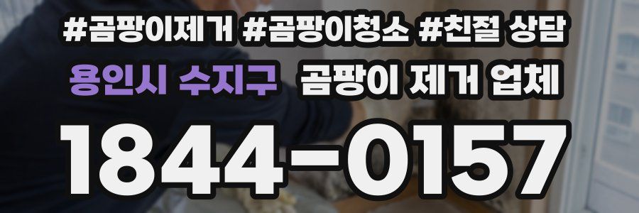용인시 수지구 곰팡이 제거 업체