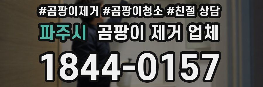 파주시 곰팡이 제거 업체