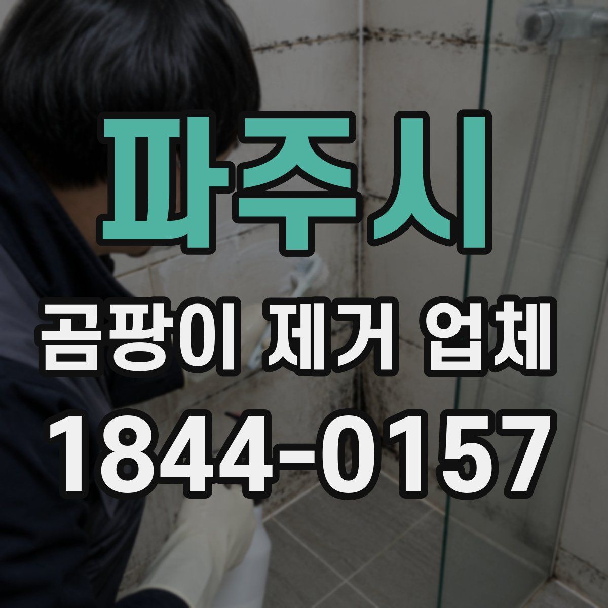 파주시 곰팡이 제거 업체