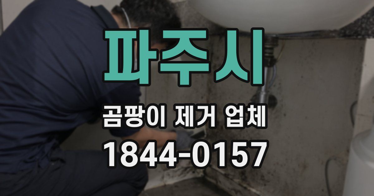 파주시 곰팡이 제거 업체