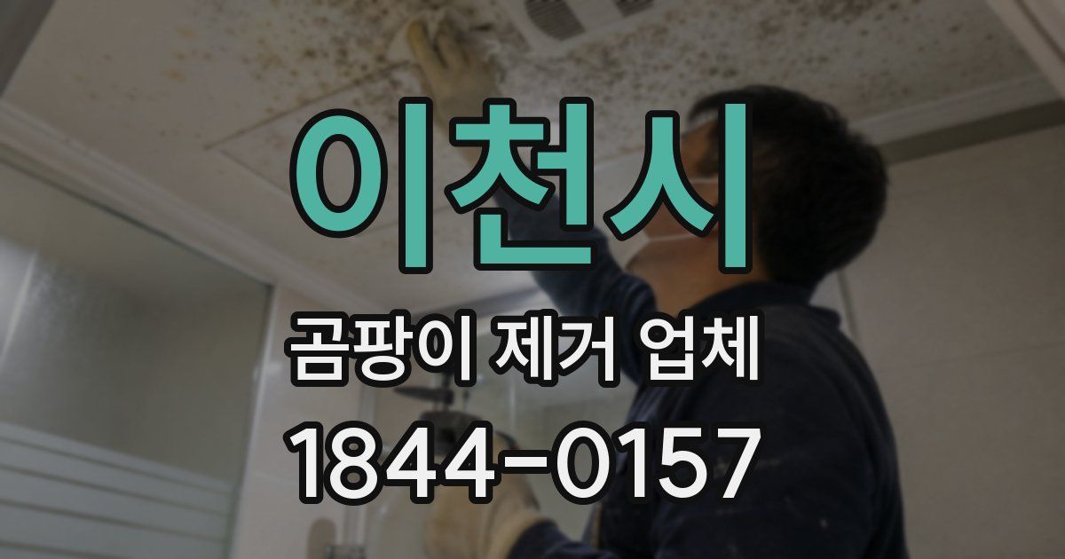 이천시 곰팡이 제거 업체