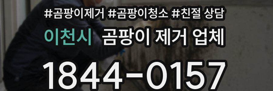 이천시 곰팡이 제거 업체