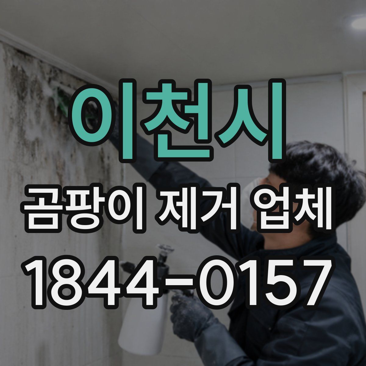 이천시 곰팡이 제거 업체