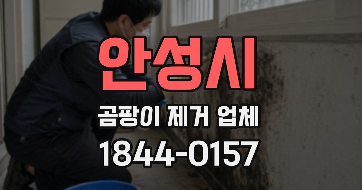 안성시 곰팡이 제거 업체