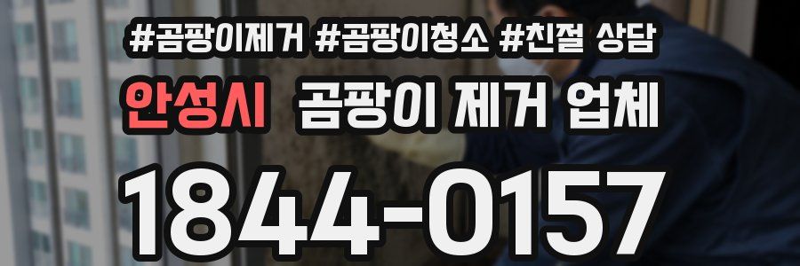 안성시 곰팡이 제거 업체