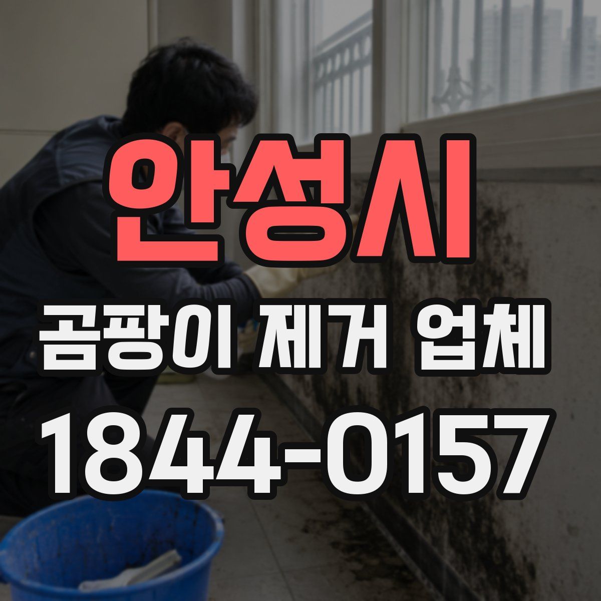 안성시 곰팡이 제거 업체