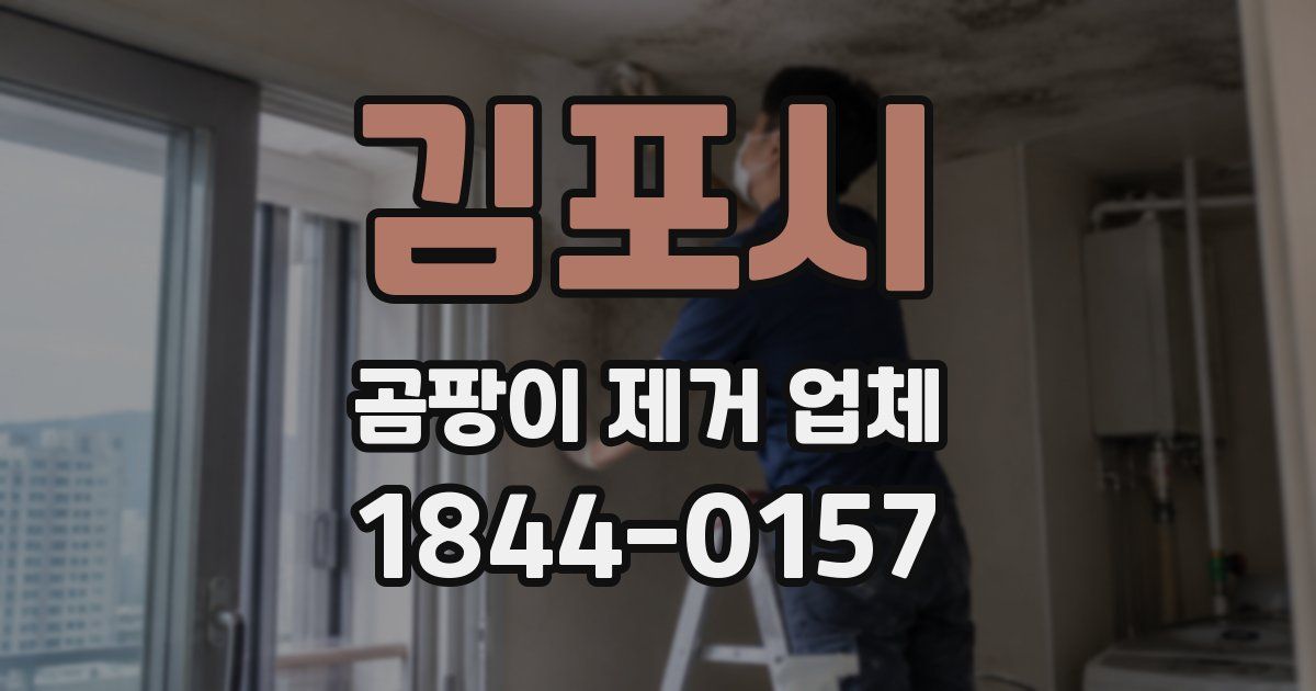 김포시 곰팡이 제거 업체