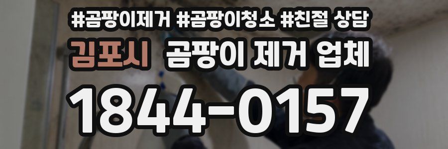 김포시 곰팡이 제거 업체