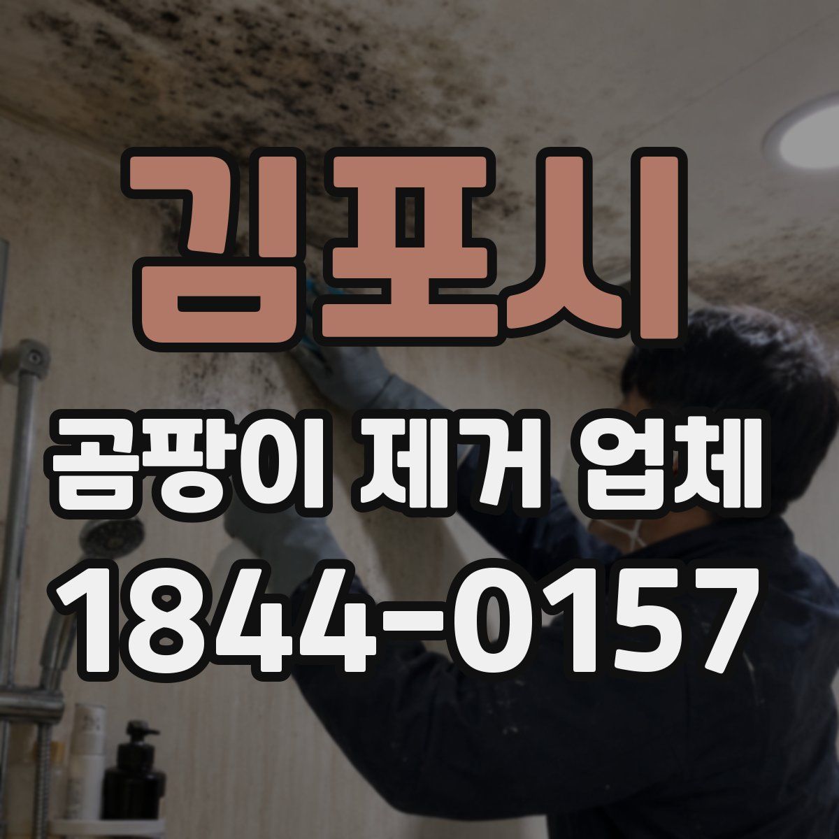 김포시 곰팡이 제거 업체