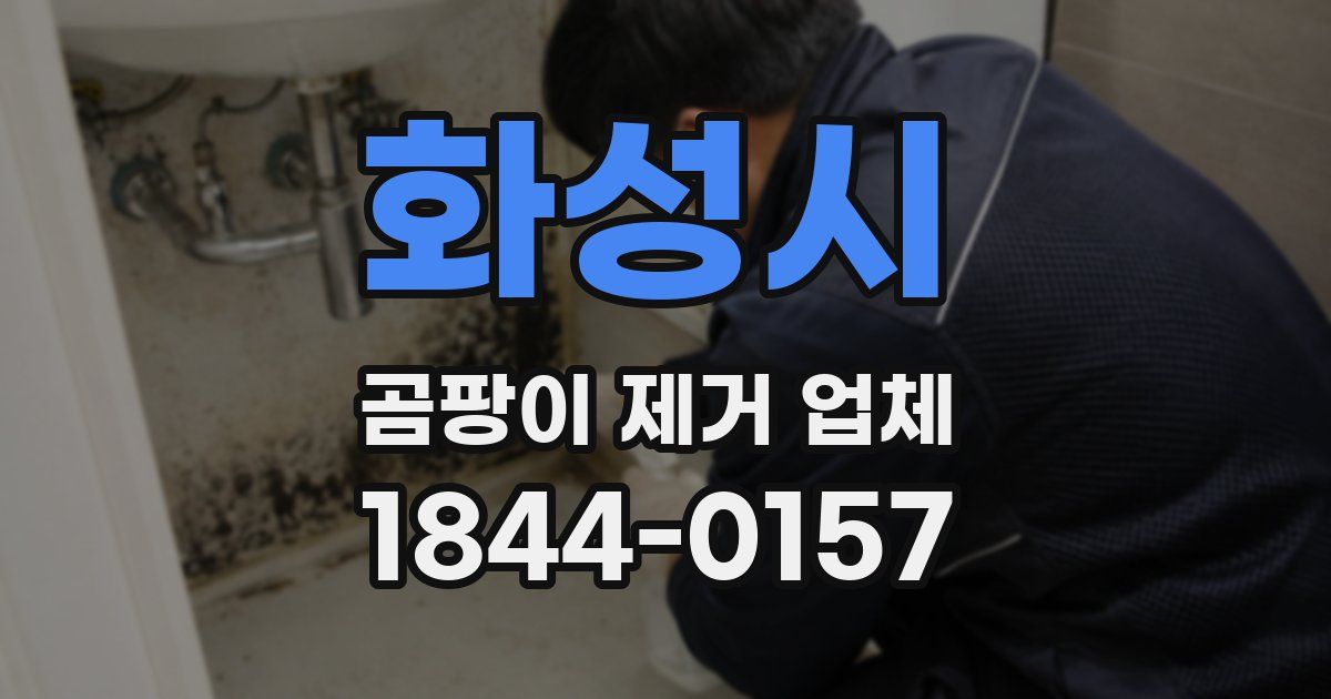 화성시 곰팡이 제거 업체