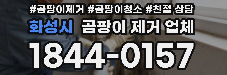 화성시 곰팡이 제거 업체