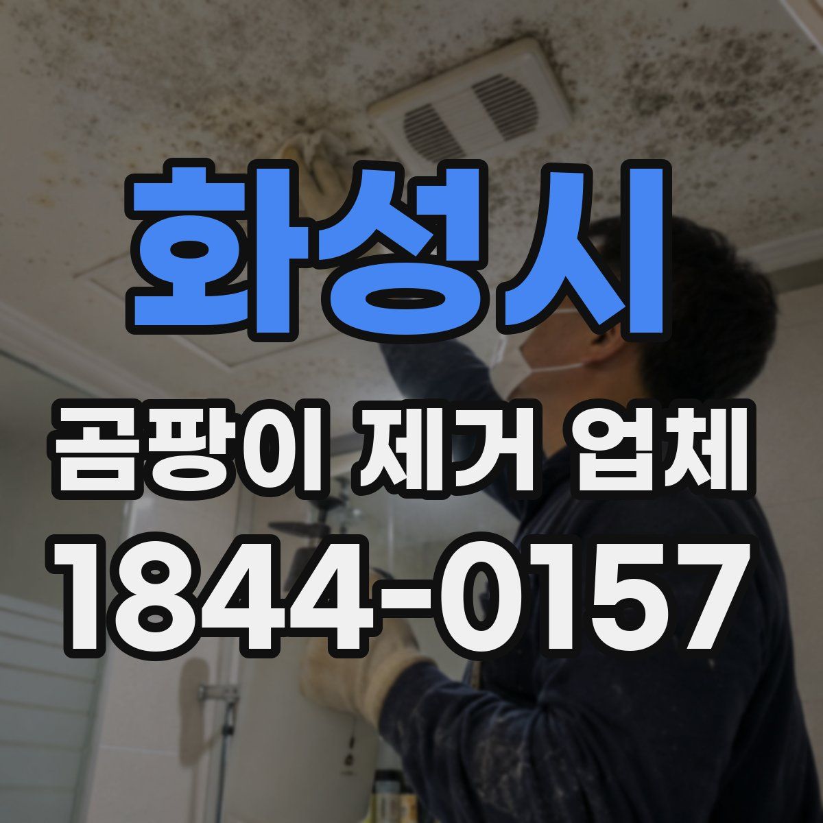 화성시 곰팡이 제거 업체