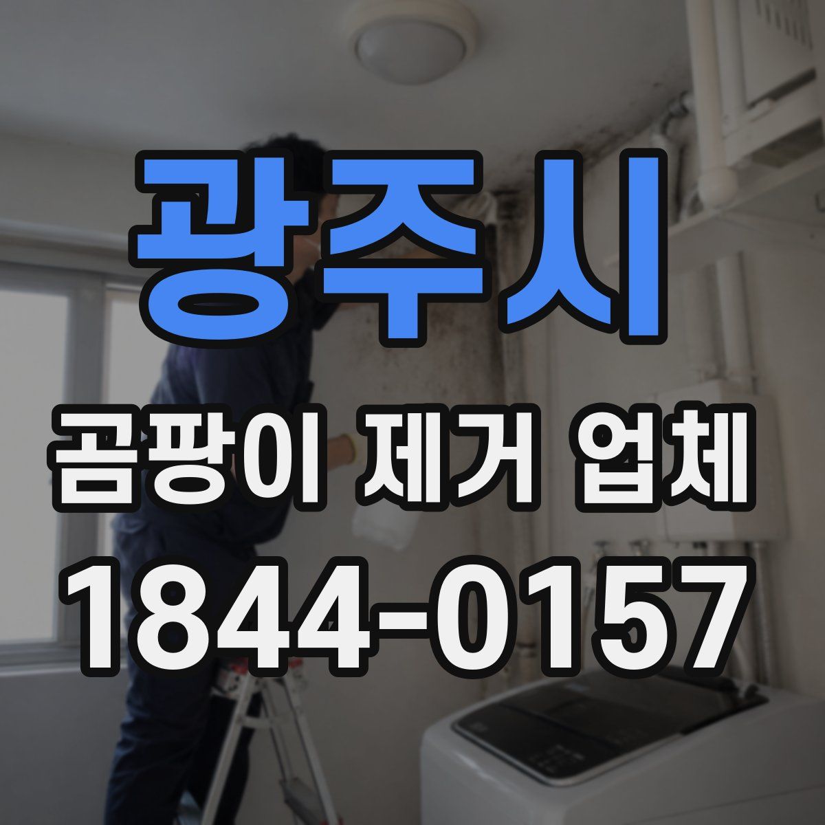 광주시 곰팡이 제거 업체