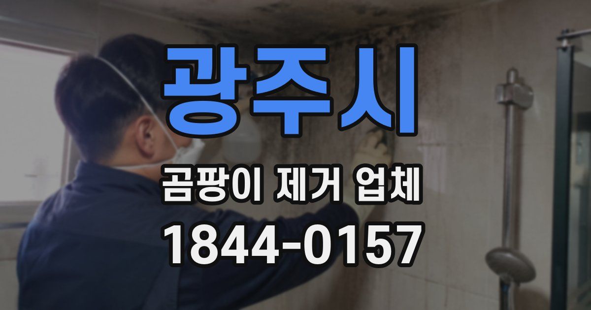 광주시 곰팡이 제거 업체