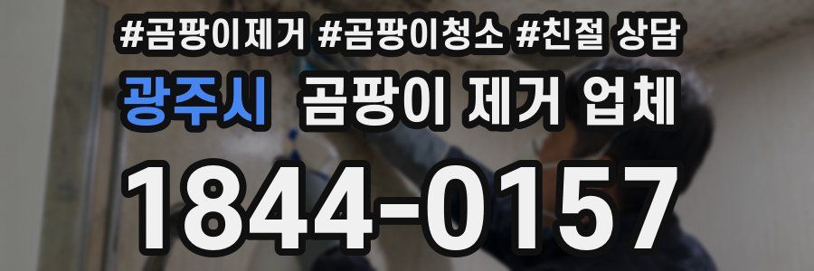 광주시 곰팡이 제거 업체