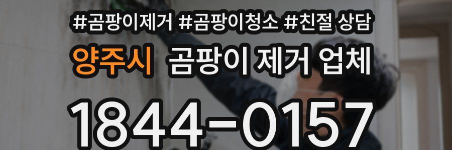 양주시 곰팡이 제거 업체