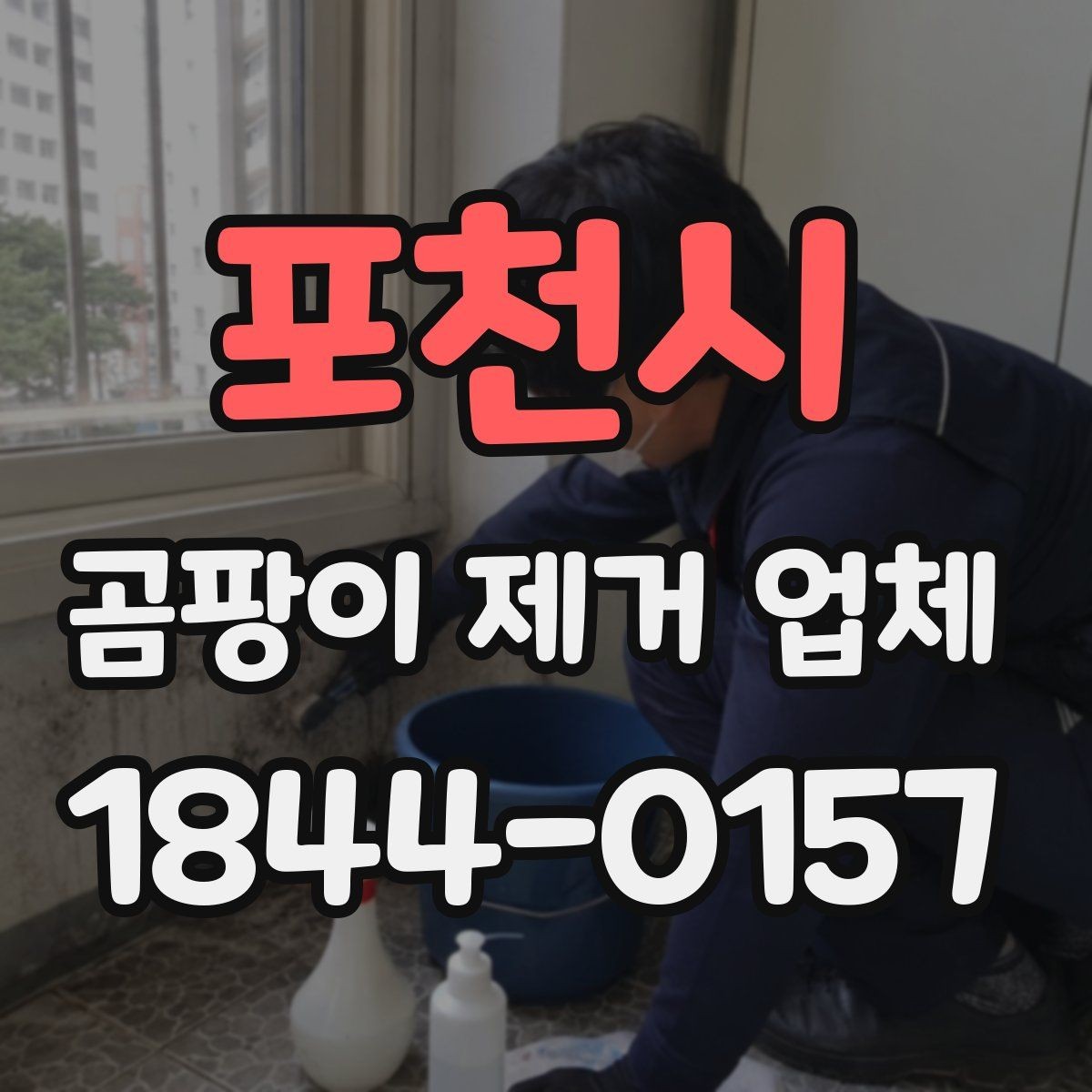포천시 곰팡이 제거 업체 문의 전에 정리하면 좋은 정보