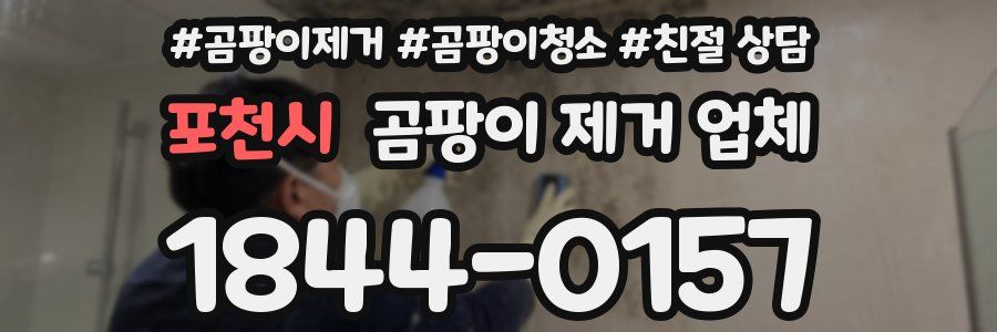 포천시 곰팡이 제거 업체