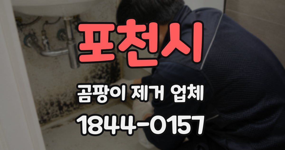 포천시 곰팡이 제거 업체