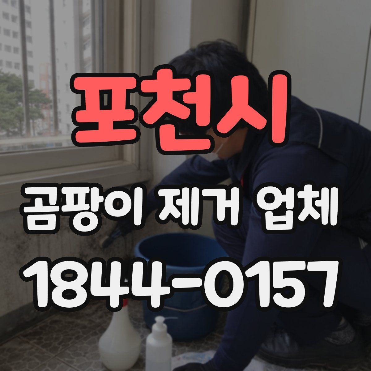 포천시 곰팡이 제거 업체