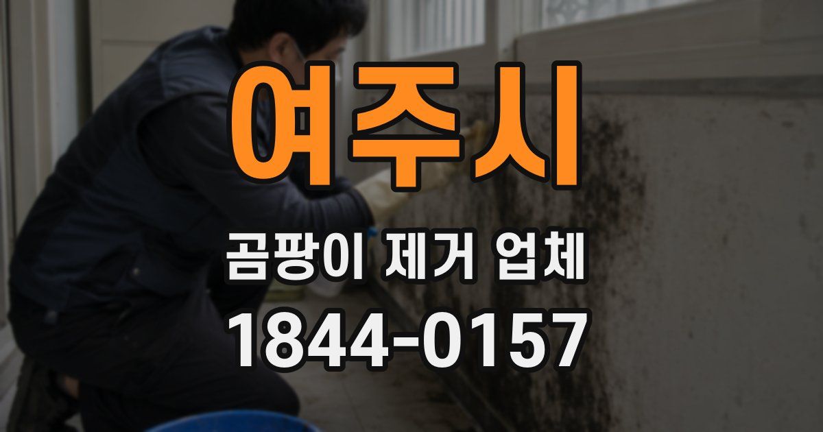 여주시 곰팡이 제거 업체