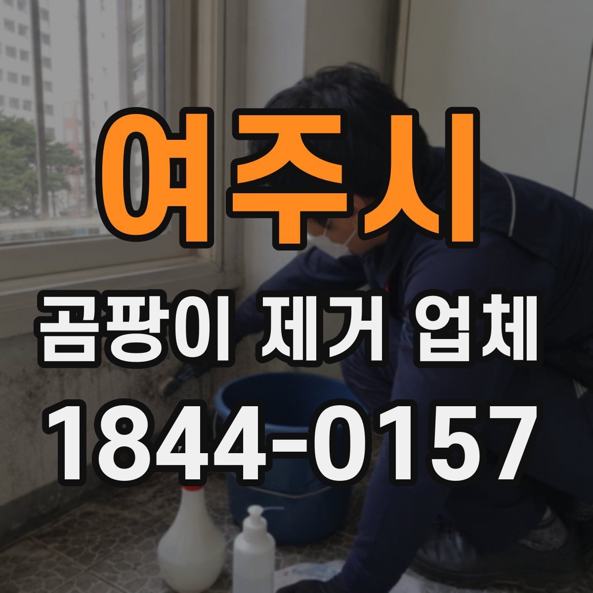 여주시 곰팡이 제거 업체