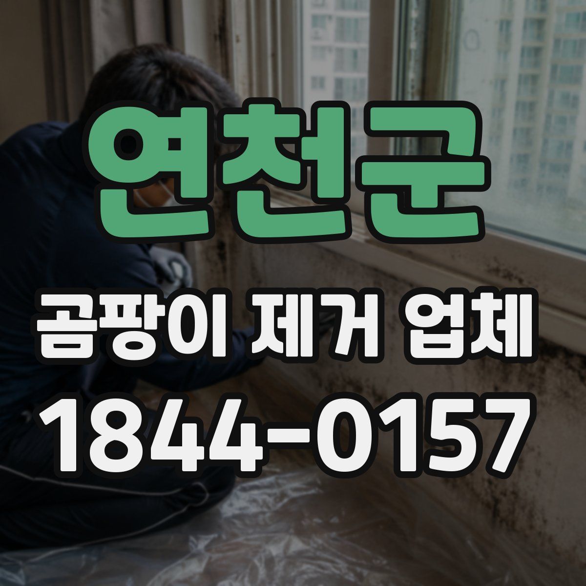 연천군 곰팡이 제거 업체