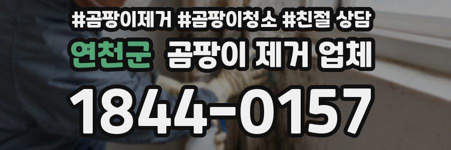 연천군 곰팡이 제거 업체