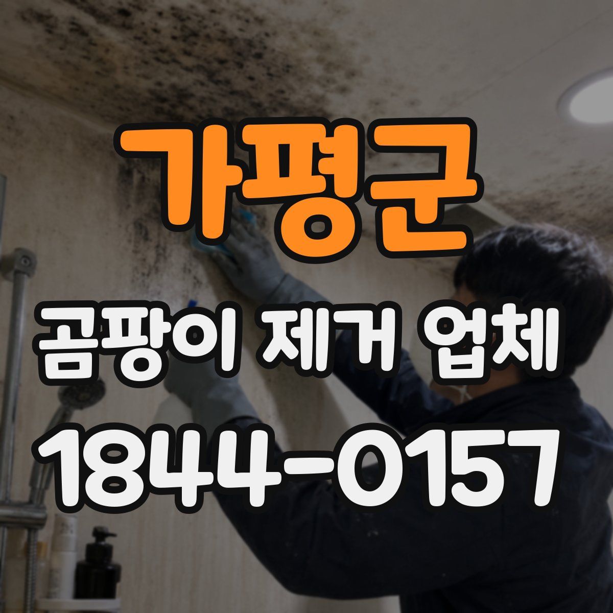 가평군 곰팡이 제거 업체